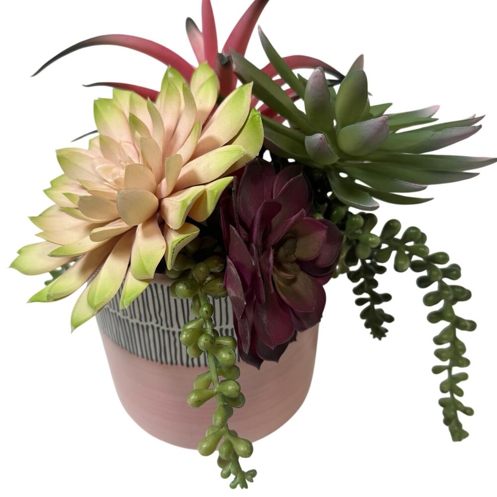 Artificial Succulent Plants Set of 5 Realistic Greenery Decor